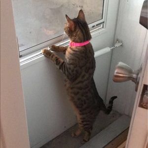 Meet your Posher, Jordan